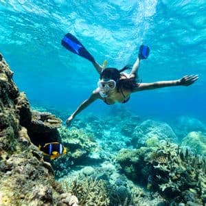 Una donna fa snorkeling con le pinne in acque cristalline su una barriera corallina con un piccolo pesce pagliaccio nelle vicinanze.