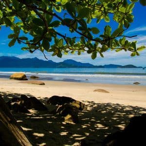 Una rama frondosa de árbol enmarca una vista de una playa soleada y arenosa con agua azul tranquila y montañas a lo lejos.