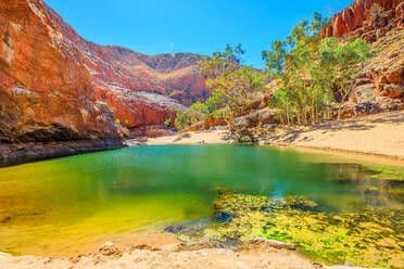 Ein grünes Wasserloch liegt in einem roten Felsencanyon, dessen sandige Ufer von Bäumen gesäumt sind, unter klarem blauem Himmel.