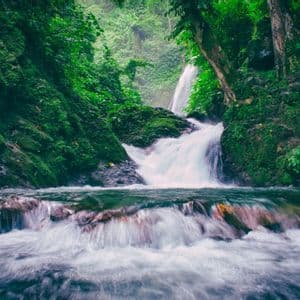 Una cascada cae a un río caudaloso con rocas cubiertas de musgo en una jungla exuberante.