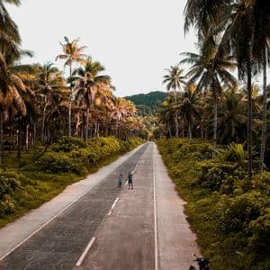 Vista aérea de dos personas de pie en medio de un camino largo flanqueado por densas palmeras y exuberante vegetación.