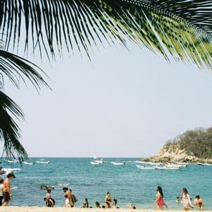 Eine Strandszene, gesehen unter großen Palmenwedeln, mit Menschen, die am Strand entspannen und im blauen Meer schwimmen.