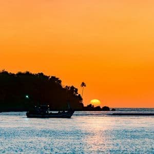 Una barca da pesca galleggia sull'acqua al tramonto, con una costa e una palma in silhouette sullo sfondo sotto un cielo arancione.