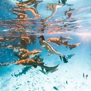 Une femme lors d'un voyage de groupe WeRoad fait de la plongée avec un tuba parmi un banc de requins et de poissons dans une eau claire et ensoleillée.