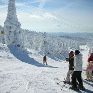 Un voyage de groupe WeRoad de skieurs sur une pente enneigée, avec des arbres recouverts de neige et un téléphérique sous un ciel bleu.