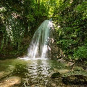 Una cascata scende da una scogliera rocciosa e ricoperta d'edera in una pozza verde in una foresta illuminata dal sole, con un tronco coperto di muschio in primo piano.