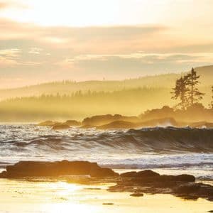 Goldenes Sonnenlicht beleuchtet brandende Wellen an einem felsigen Strand, mit nebligen, bewaldeten Hügeln im Hintergrund.