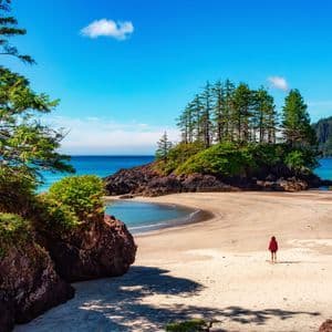Eine Person in roter Jacke steht in einer sandigen Bucht, flankiert von Kiefern und Felsformationen unter blauem Himmel.
