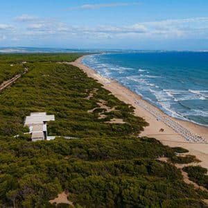 Una vista aerea di una lunga costa con una spiaggia sabbiosa, una fitta foresta verde e file di ombrelloni accanto al mare blu.