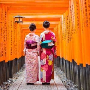 Two women seen from behind in traditional kimonos standing on a path through a tunnel of orange torii gates.