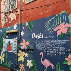 Un murale di street art colorato su una parete blu, con un fenicottero, fiori tropicali e la scritta che definisce la parola 'Dushi'.