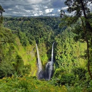 Deux cascades plongent dans un ravin au cœur d'une jungle dense et verte, sous un ciel nuageux.
