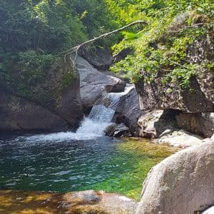 Una piccola cascata si riversa su grandi rocce in una pozza limpida e verdastra alla base di una montagna lussureggiante e boscosa.