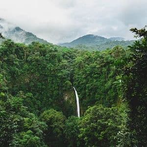 Una cascada alta cae en un profundo cañón rodeado por una exuberante selva tropical, con montañas brumosas de fondo.