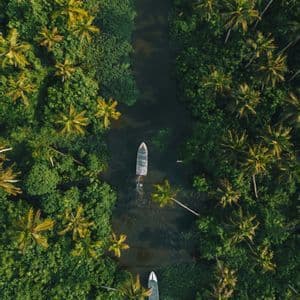 Vista aérea de dos barcos en un río rodeado de una densa selva de palmeras verdes.