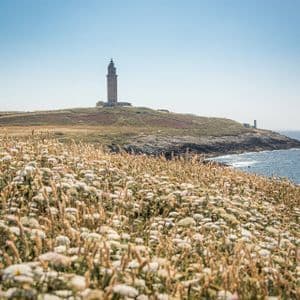 Un faro de piedra en una colina verde junto al mar, con un campo de flores silvestres blancas en primer plano.