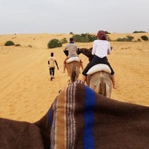 Un voyage de groupe WeRoad à dos de chameau en file indienne à travers un désert de dunes de sable, mené par un guide à pied.