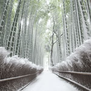 Un sentiero innevato si snoda attraverso un'alta foresta di bambù con la neve aggrappata ai fusti.