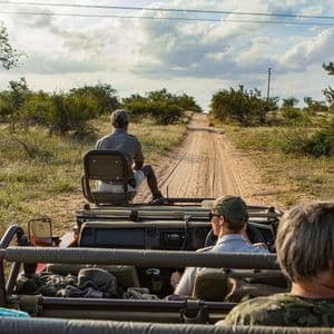 Un viaggio di gruppo WeRoad in safari, visto dal retro di una jeep che percorre una strada sterrata nella savana.