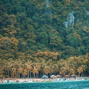 Barcos amarrados en una playa de arena bordeada de palmeras, al pie de una montaña densamente boscosa.
