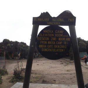 The Mweka Camp sign at Kilimanjaro National Park in Tanzania, showing the elevation of 3100 meters in the moorland zone.