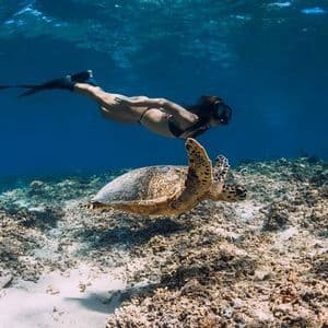 A person with a mask and fins freediving next to a sea turtle over a coral reef in blue water.