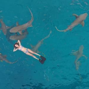 Vista aérea de una mujer en bikini y aletas flotando de espaldas en agua turquesa, rodeada de muchos tiburones y peces pequeños.