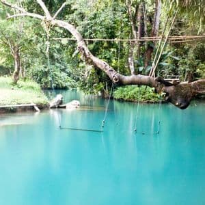 Seilschaukeln hängen von einem großen Ast über einer türkisfarbenen Lagune, umgeben von einem üppig grünen Wald.