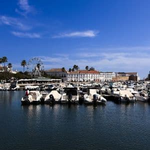 Boats docked in a sunny marina with a city skyline and a large Ferris wheel in the background under a blue sky.