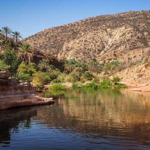 A river flows through a rocky canyon filled with palm trees, with an arid mountain rising in the background.