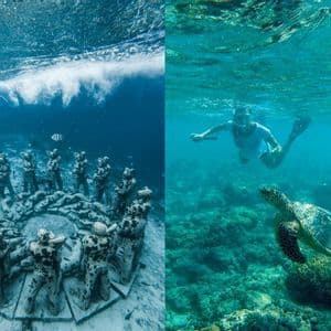 Ein geteiltes Bild einer WeRoad-Gruppenreise beim Schnorcheln, mit Unterwasserstatuen auf der einen Seite und einer Meeresschildkröte auf der anderen.