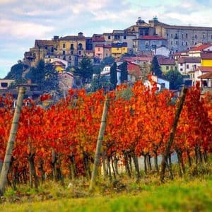 Un vigneto con foglie rosse vivaci in autunno, e sullo sfondo un borgo colorato arroccato su una collina.