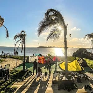 Un lugar de kitesurf al atardecer con gente, cometas de colores y dos perros en una cubierta de madera junto al agua, con palmeras alrededor.