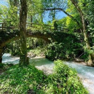 Un puente de piedra con arcos, cubierto de hiedra verde, atraviesa un río cristalino que fluye a través de un bosque soleado.