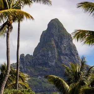 Ein steiler, felsiger Berg mit grüner Vegetation, eingerahmt von den Blättern mehrerer hoher Palmen vor einem bewölkten Himmel.
