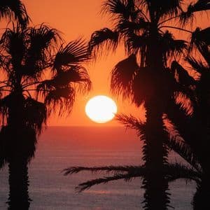 Il sole tramonta sull'oceano, incorniciato dalle sagome di diverse palme contro un cielo arancione intenso.