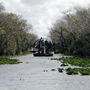 Un viaggio di gruppo WeRoad su un airboat attraversa un canale fluviale paludoso, costeggiato da alberi fitti e ninfee galleggianti.