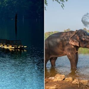 Ein Diptychon, das ein Bambusfloß auf einem See und einen Elefanten mit Stoßzähnen zeigt, der in einem Fluss steht und Wasser mit seinem Rüssel versprüht.
