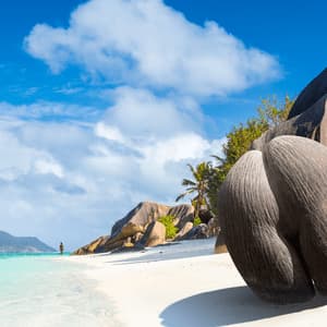 Un seme di Coco de Mer adagiato su una spiaggia di sabbia bianca con acqua turchese, palme e massi di granito sotto un cielo blu
