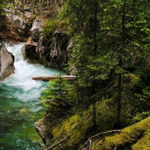 A turquoise river with white rapids flows through a rocky gorge surrounded by dense green forest and moss-covered rocks.