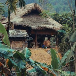 Una tradizionale casa su palafitte con tetto di paglia, circondata da fitta vegetazione della giungla, con una persona seduta a terra nelle vicinanze.