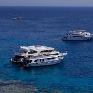 Diversi yacht bianchi di un gruppo WeRoad sono ancorati in acque turchesi sopra una barriera corallina visibile, sotto un cielo azzurro e limpido.