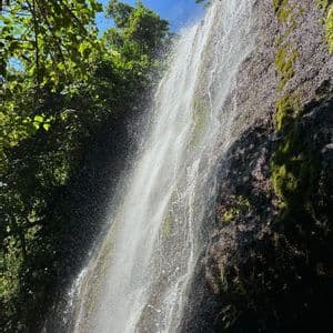 Ein Wasserfall stürzt eine moosbewachsene Felswand hinab, umrahmt von üppig grünen Bäumen vor einem klaren blauen Himmel.