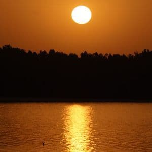 Eine strahlende Sonne hängt an einem orangefarbenen Himmel über einem silhouettierten Wald, dessen Spiegelung auf dem Wasser schimmert.