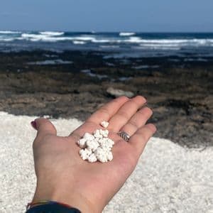 Primer plano de una mano sosteniendo pequeños corales blancos con forma de palomitas de maíz en una playa rocosa con el océano de fondo.