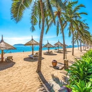 Una soleggiata spiaggia tropicale con ombrelloni di paglia, lettini e una fila di palme lungo l'oceano calmo e blu.