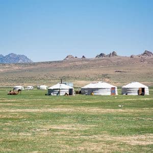White yurts and camels stand on a grassy plain with hills and mountains in the background under a clear sky.