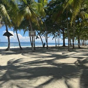 Un canestro da basket è fissato a una palma su una spiaggia sabbiosa, con le forti ombre degli alberi e l'oceano sullo sfondo.