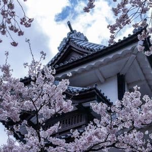Ramas de cerezo en flor enmarcan el tejado de tejas de un edificio tradicional japonés contra un cielo nublado.