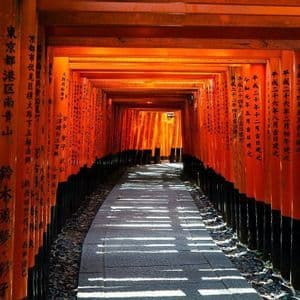 Un sendero de piedra atraviesa un túnel de puertas torii naranjas con caracteres japoneses, proyectando sombras rayadas en el suelo.